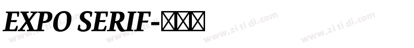 EXPO SERIF字体转换